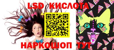 крисы Камышлов
