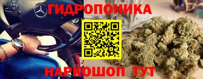 крисы Камышлов