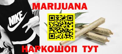 крисы Камышлов
