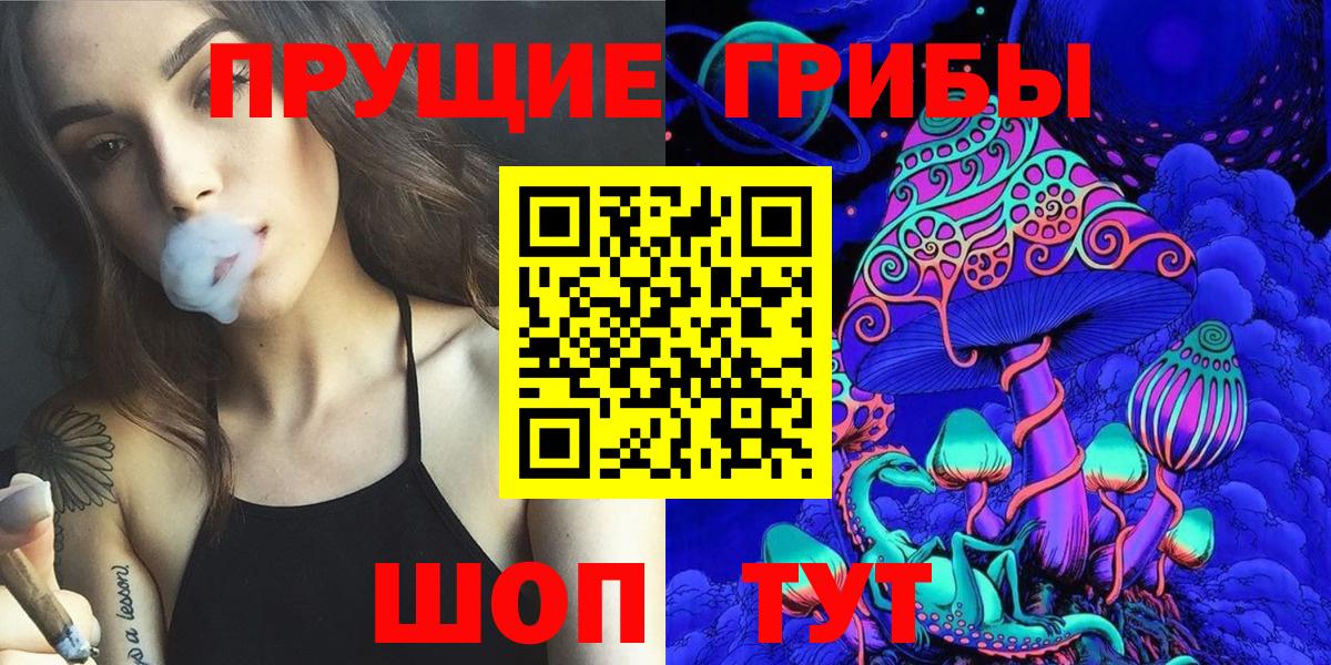 Ярославль  Псилоцибиновые грибы GOLDEN TEACHER  Вход с VPN  Галлюциногенные грибы Cubensis 